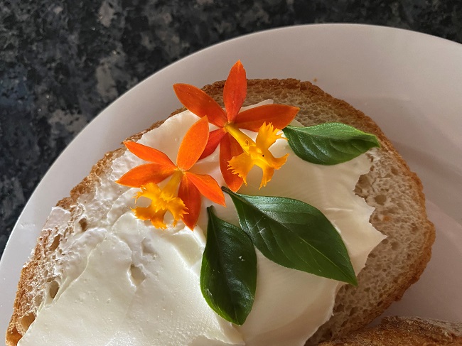 crucifix orchid edible on bread with cream cheese