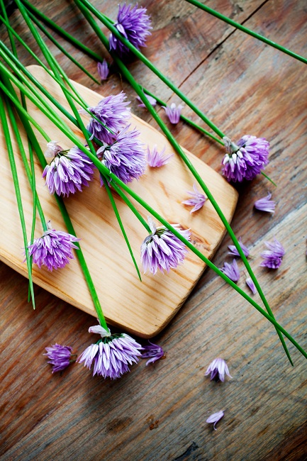 Chives edible flower