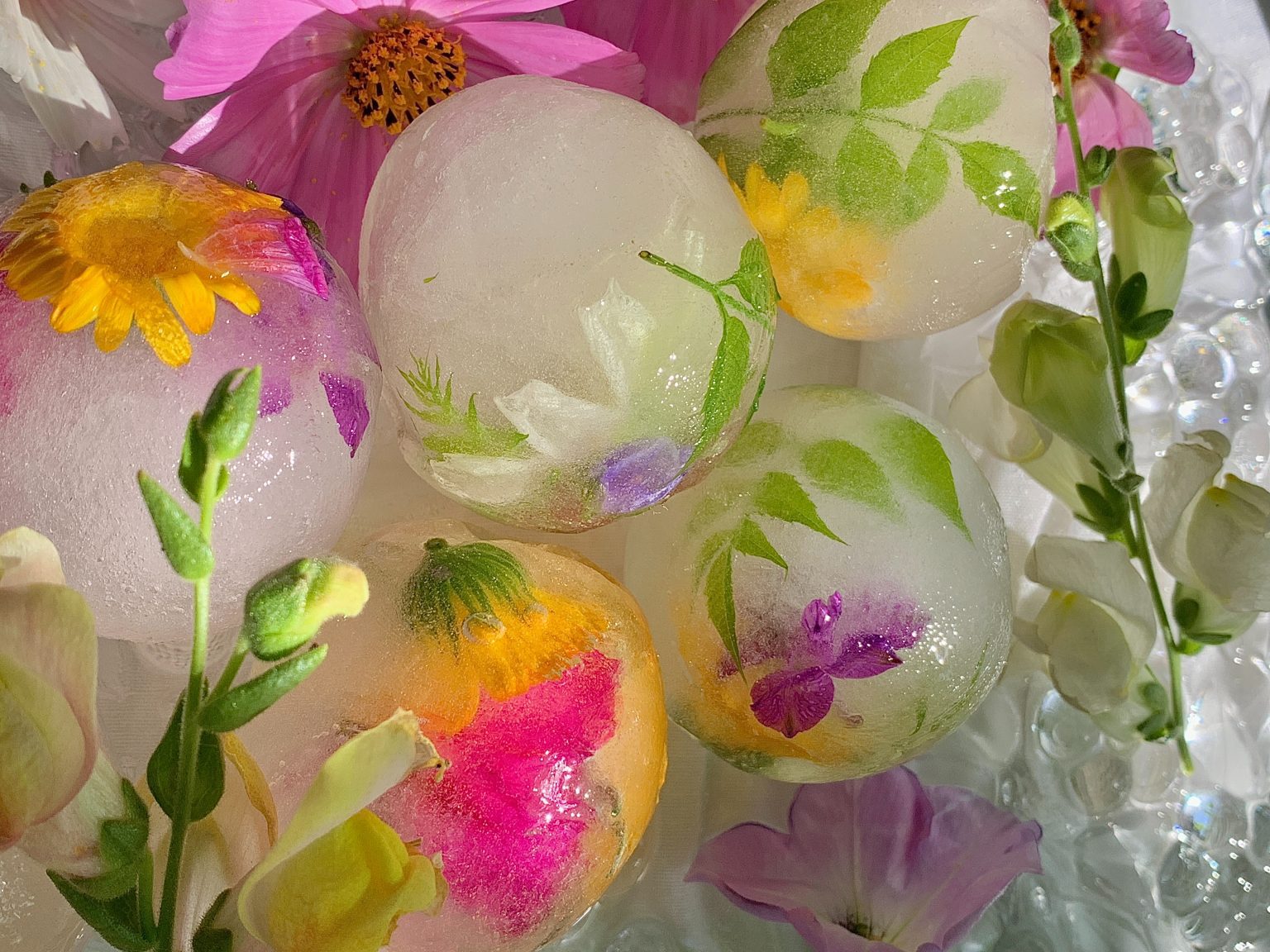 How to Make Flower Ice Cubes Floral Magic in an Ice Cube
