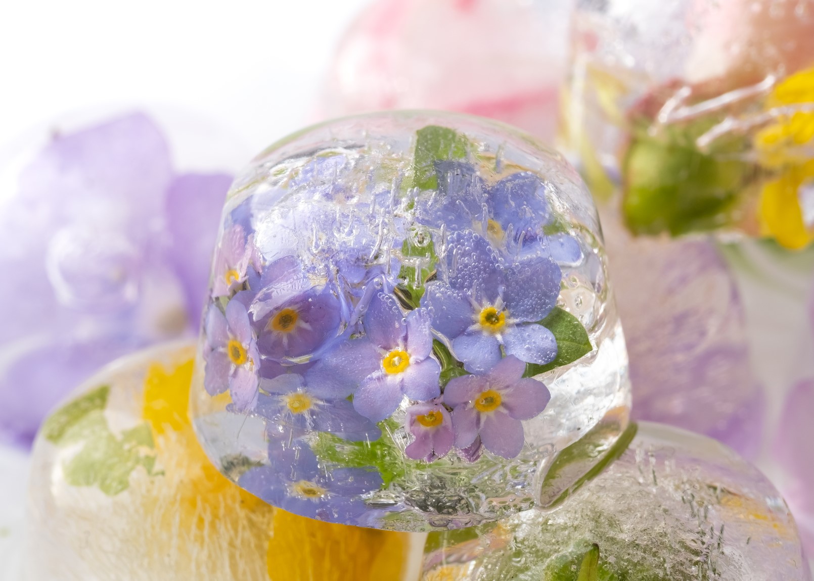 How to Make Flower Ice Cubes Floral Magic in an Ice Cube