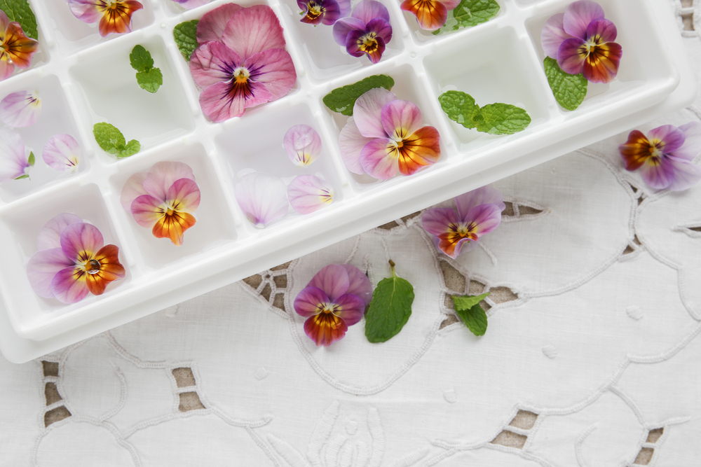 pansy ice cubes