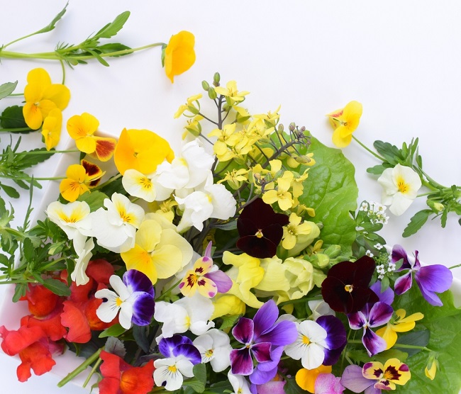edible flowers for pizzas