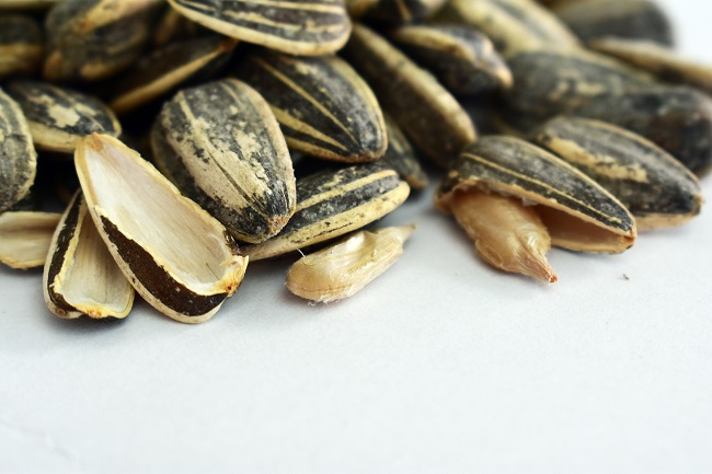 sunflower seed shells