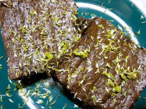 Grow Your Own Buzz Buttons: Feel the Buzz Sensation