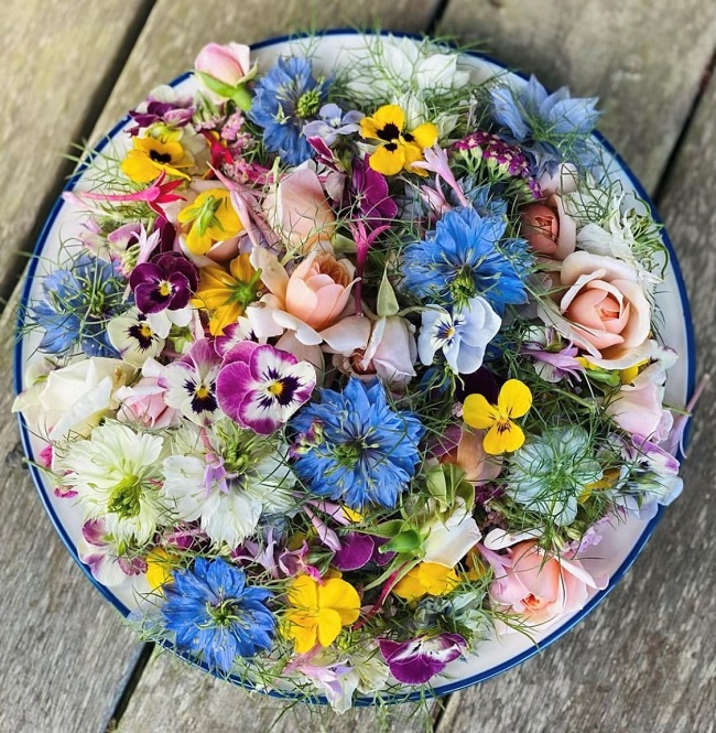 Happy Hour Cocktail: Edible Flowers, Creativity and Joy