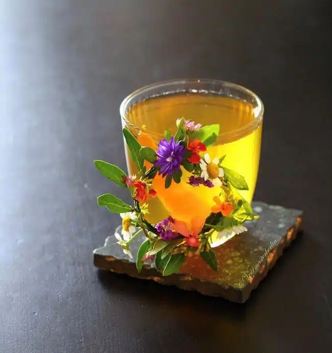 White Negroni cocktail with edible flower garnish