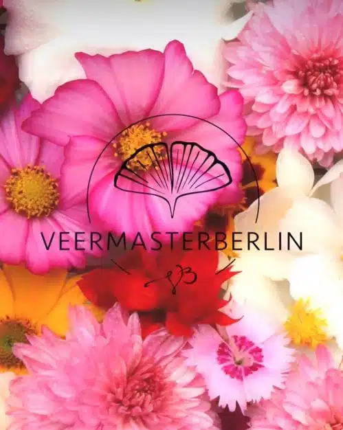 veermasterberlin logo