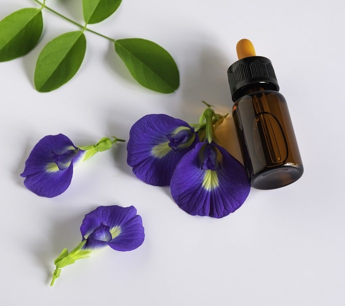 blue butterfly pea used in natural cosmetics